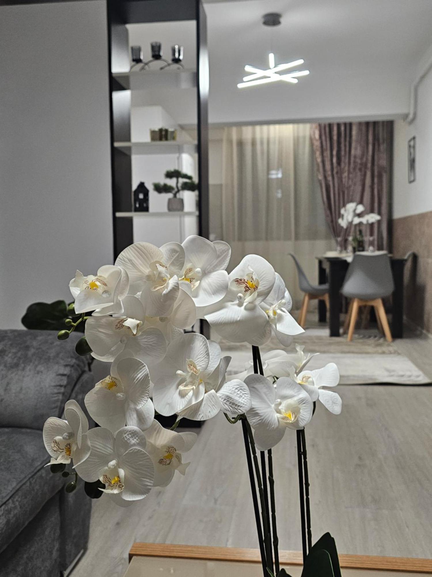 Enjoy My Home Near Palas Mall 2 Яш Екстериор снимка